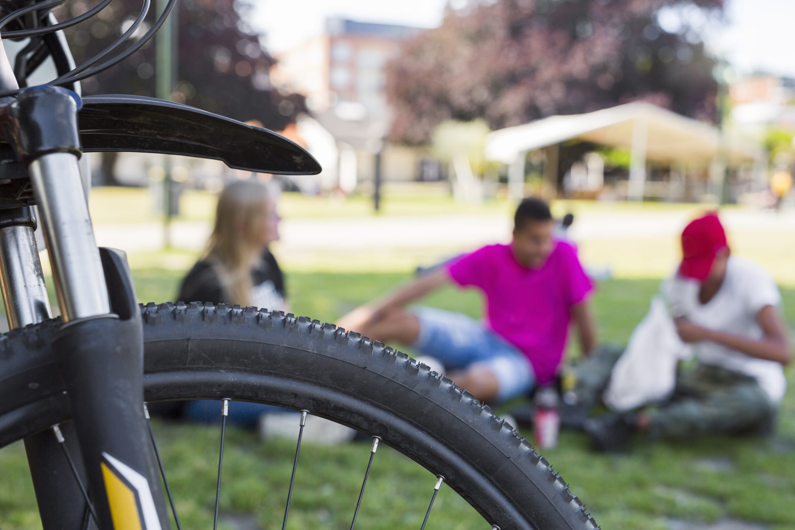 Detail of bicycle, teenage girl and teenage boys (14-15) sitting on grass