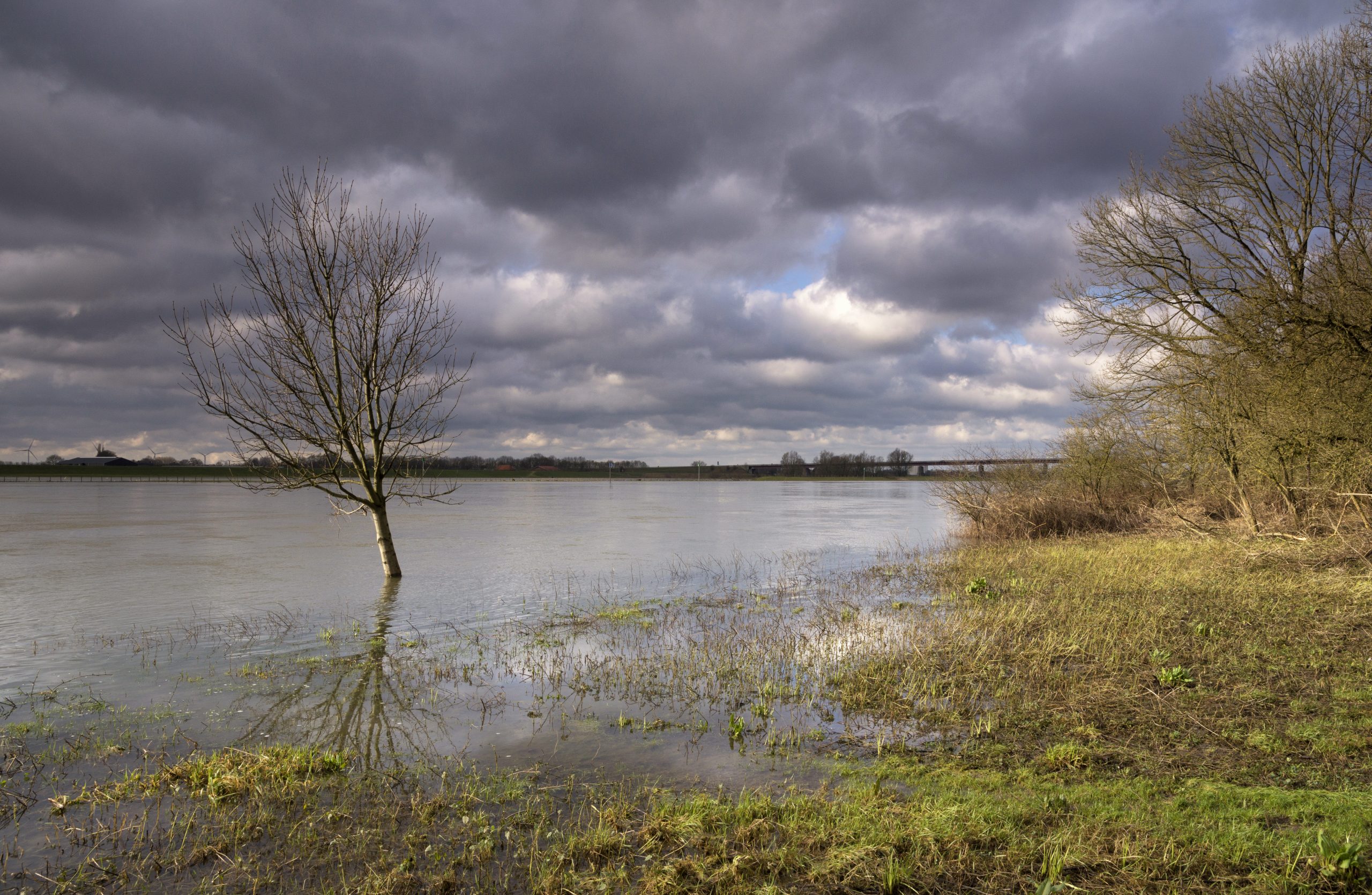 High water level in the Rhine at the bottom of the Grebbeberg near the Dutch town Rhenen
